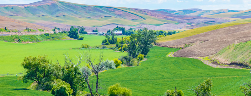 Image of Walla Walla, Washington