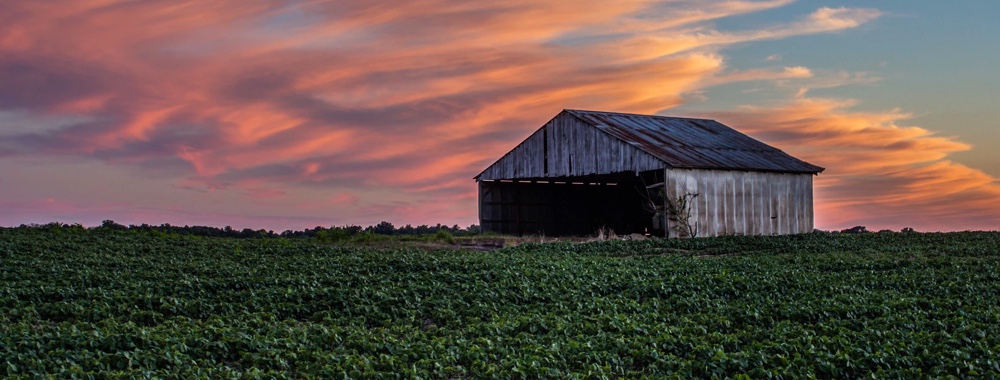 Image of Indiana