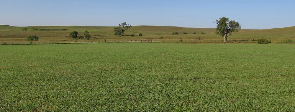 Image of Kansas