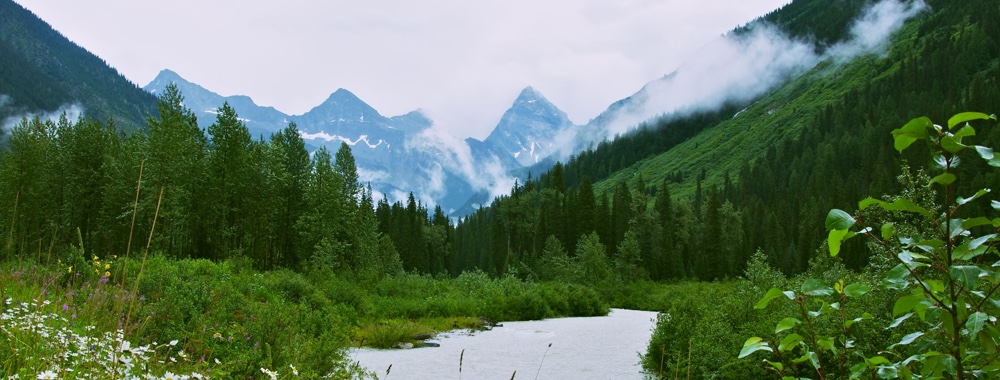 Image of Montana