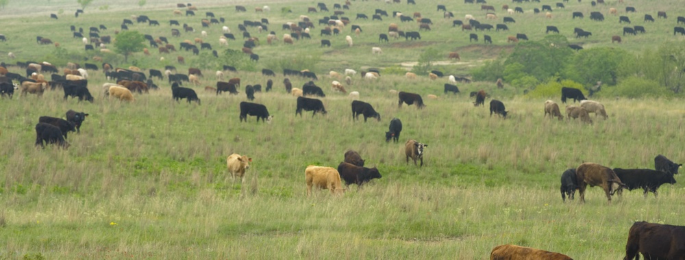 Image of Texas