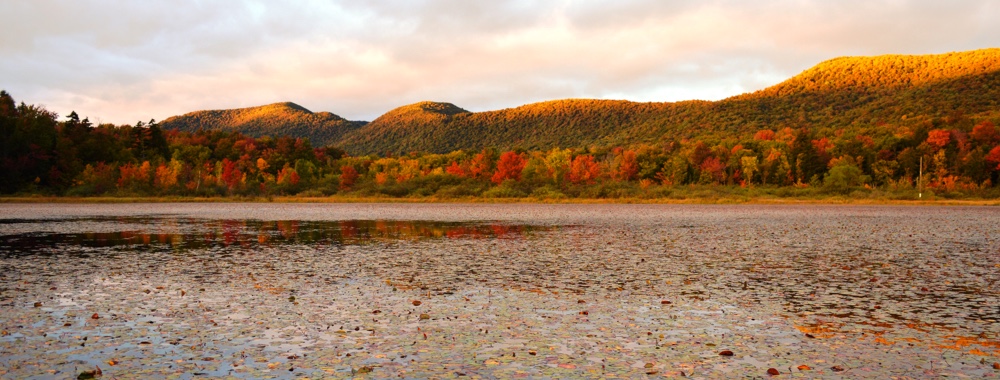 Image of Vermont